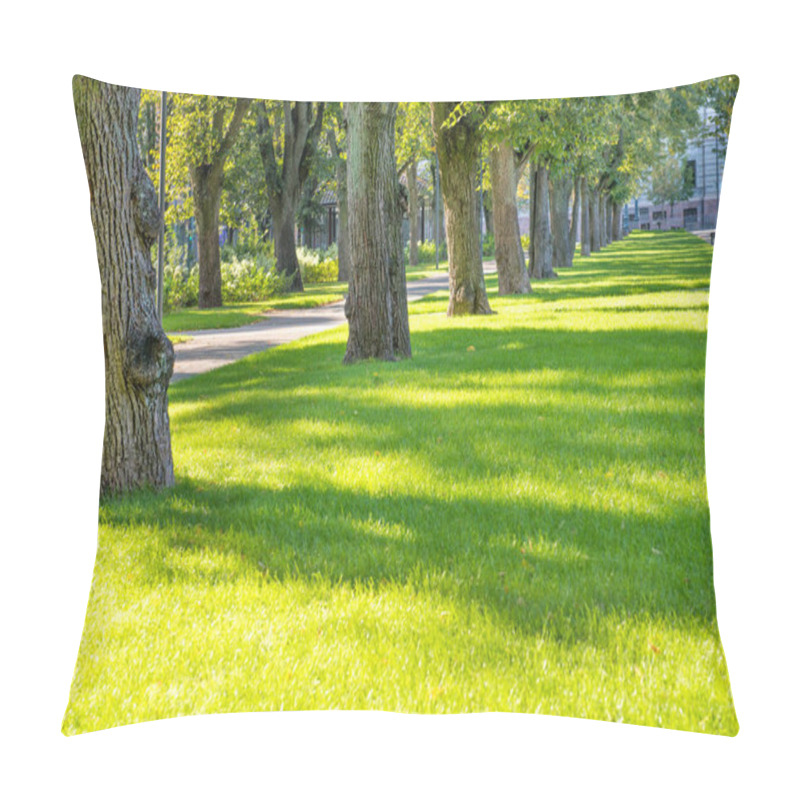 Personality  Green Sunny Park With Trees And Grass Pillow Covers