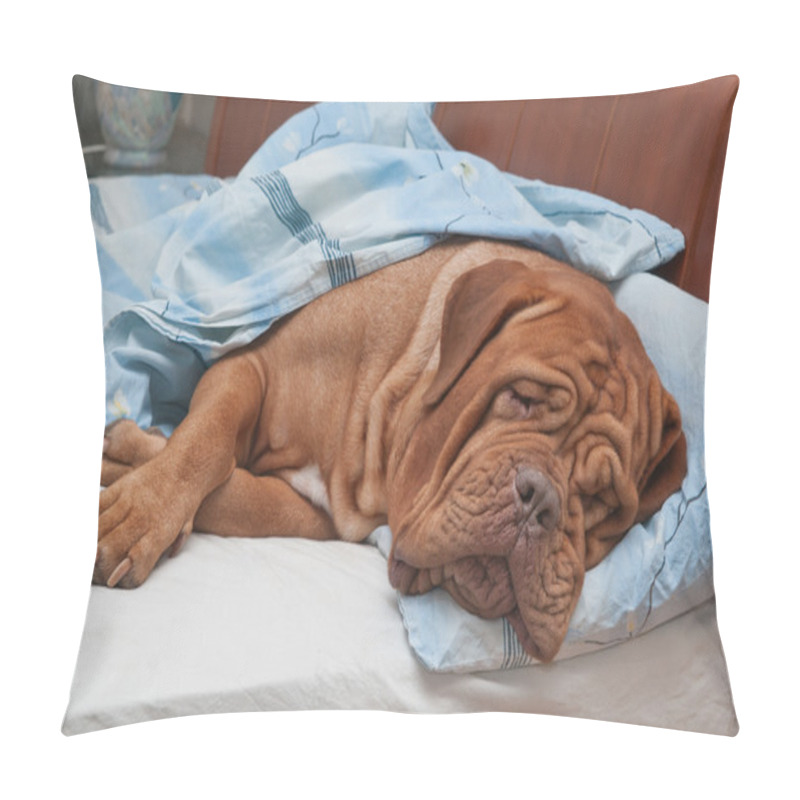 Personality  Dogue De Bordeaux Dog Sleeping Sweetly In Owner's Bed Pillow Covers