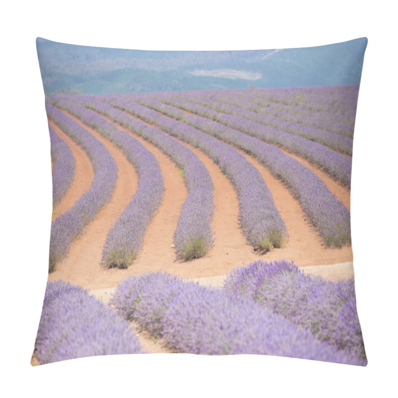 Personality  Lavender Field Tasmania Australia Pillow Covers