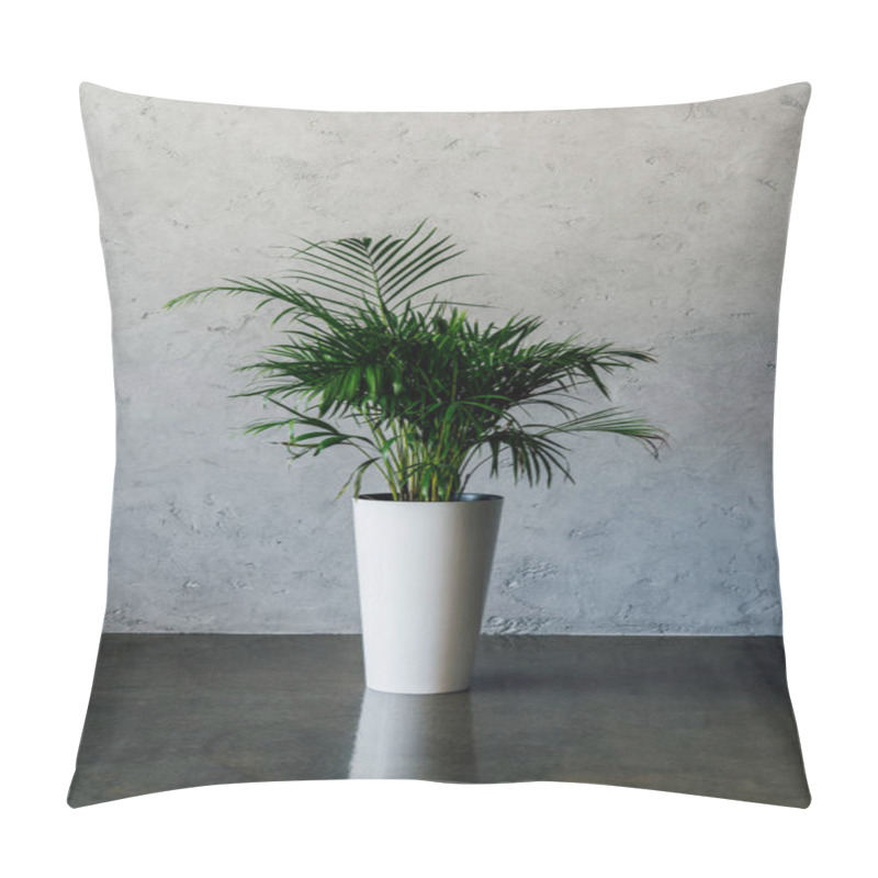 Personality  Potted Plant At Empty Room Pillow Covers