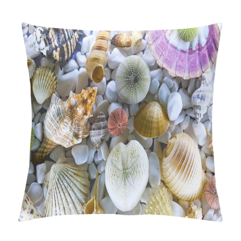 Personality  Seashells And Oysters Pillow Covers