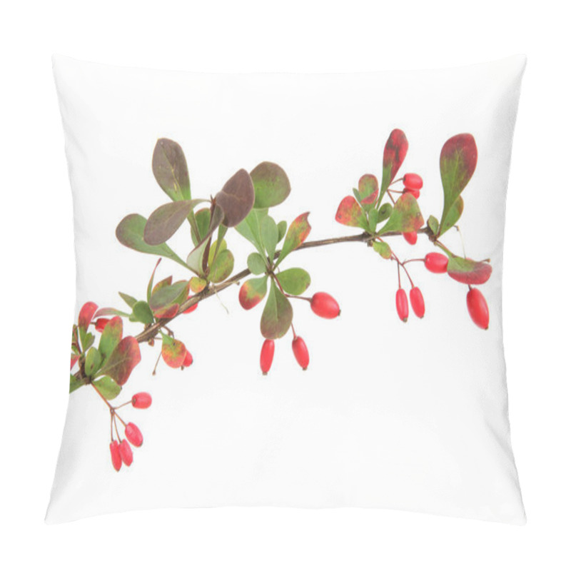 Personality  European Barberry (Berberis Vulgaris) Pillow Covers