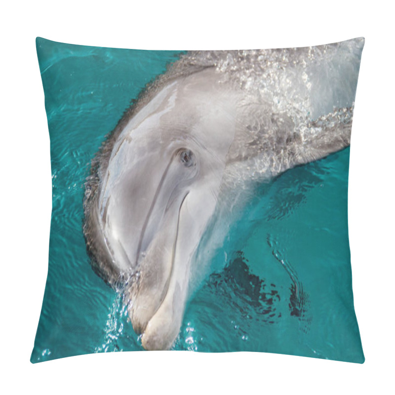 Personality  The Yong Bottlenose Dolphin Is Swimming In Red Sea Pillow Covers