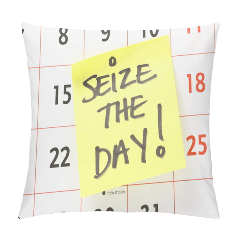 Personality  Seize The Day! Pillow Covers