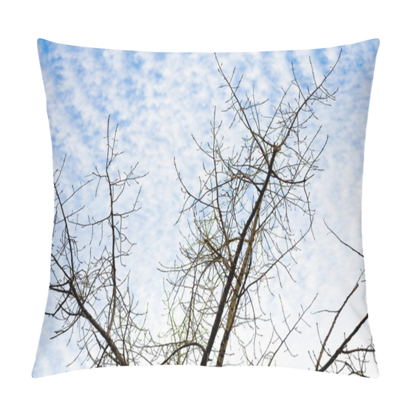 Personality  Detailed Tree Branches Against Sky With White Clouds Pillow Covers