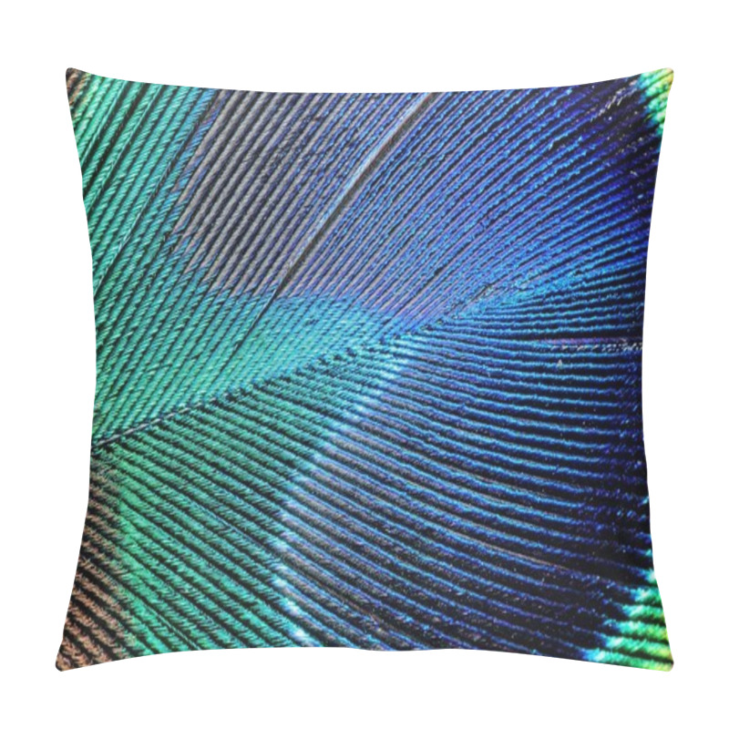 Personality  Peacock Feather Pillow Covers