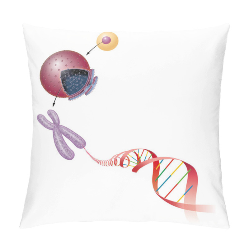 Personality  Cell Structure. DNA Molecule Pillow Covers