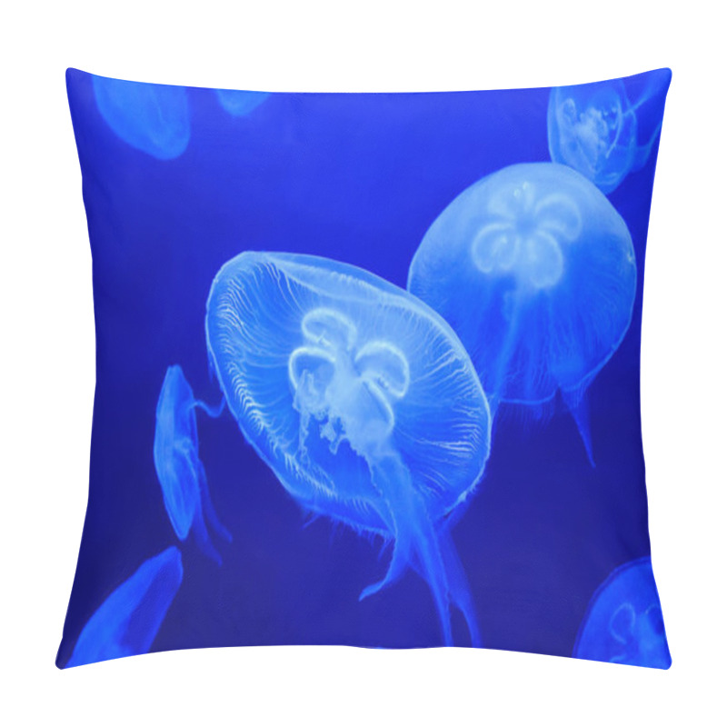 Personality  Beautiful Marine Life In The Blue Light. Jellyfish Pillow Covers