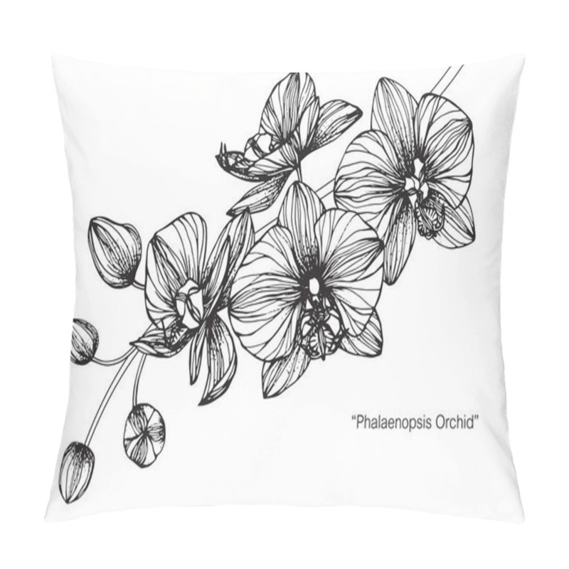 Personality  Orchids Flower. Drawing And Sketch With Black And White Line-art. Pillow Covers