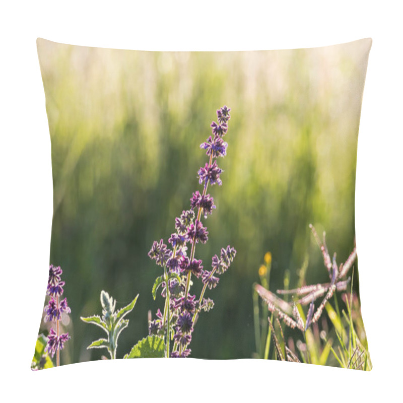 Personality  Wild Basil Plant Blooming In Spring Pillow Covers