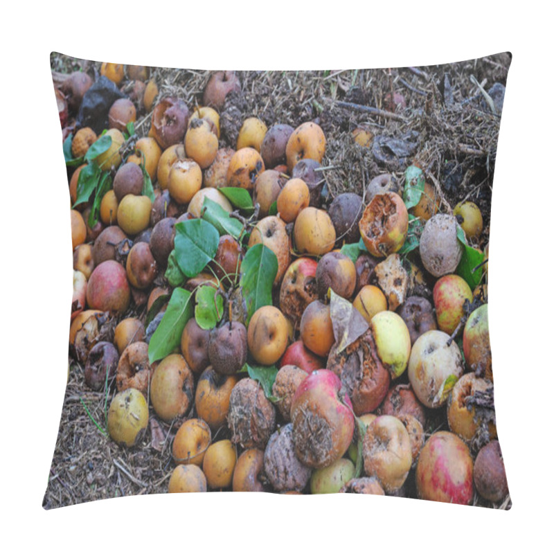 Personality  Rotten Fallen Fruit In The Garden Pillow Covers