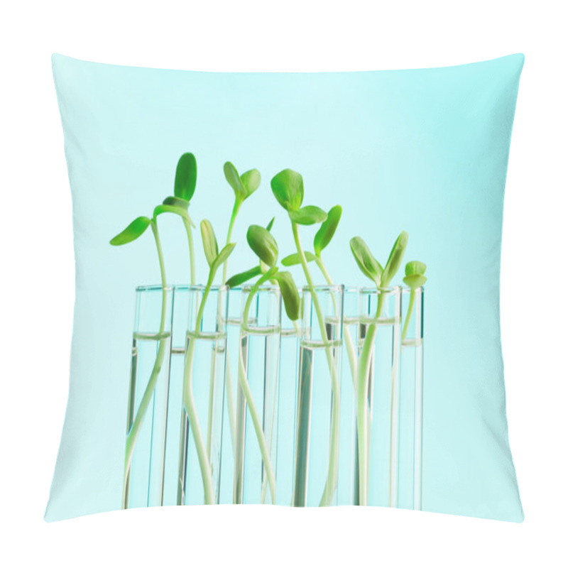 Personality  Green Plants In A Row Of Test Tubes With Water Pillow Covers