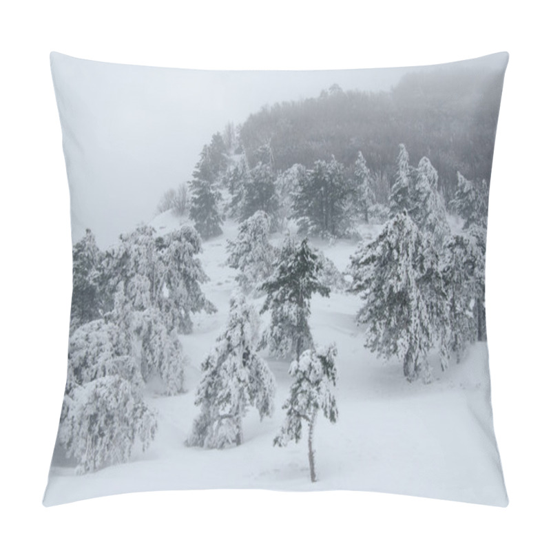 Personality  Landscape, Forest In Winter Blizzard Pillow Covers