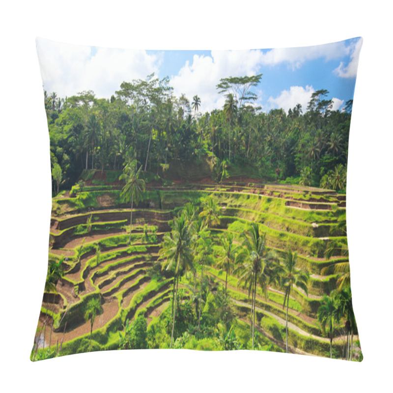 Personality  Panorama Of Beautiful Rice Terraces At Central Bali Pillow Covers