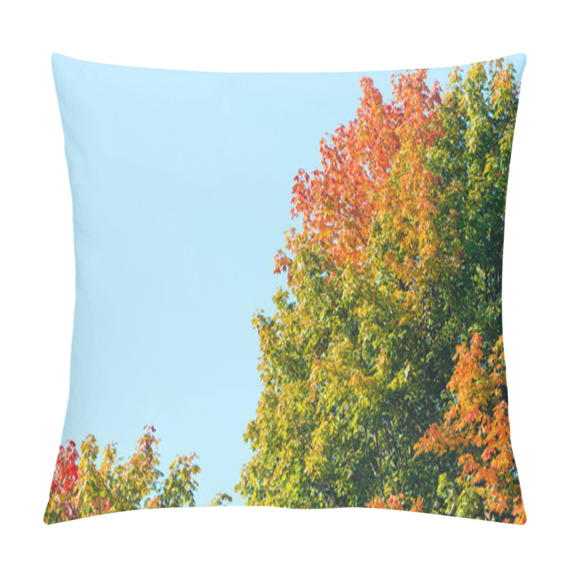 Personality  Autumn Trees. Fall Tree Against The Blue Sky. Pillow Covers