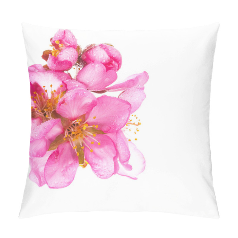 Personality  Pink Blooming Flowers Isolated On White Background Pillow Covers