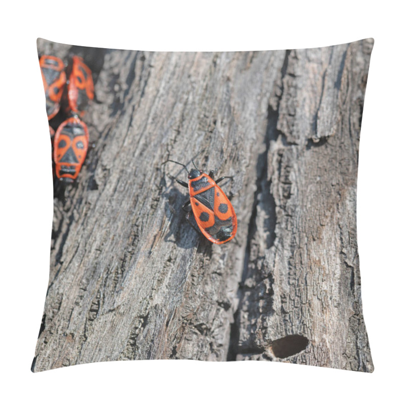 Personality  Common Fire Bug,Pyrrhocoris Apterus,Lime Tree Bark Pillow Covers