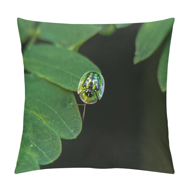 Personality  Green Tortoise Beetle On A Leaf. Pillow Covers