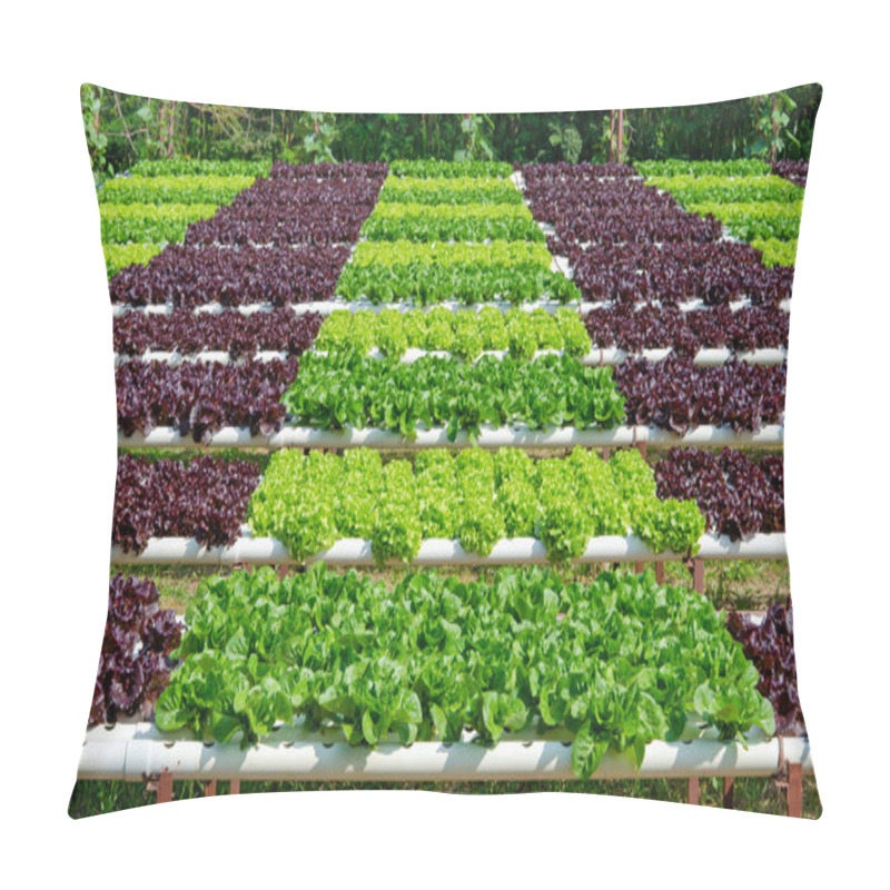 Personality  Organic Hydroponic Vegetable Cultivation Farm Pillow Covers