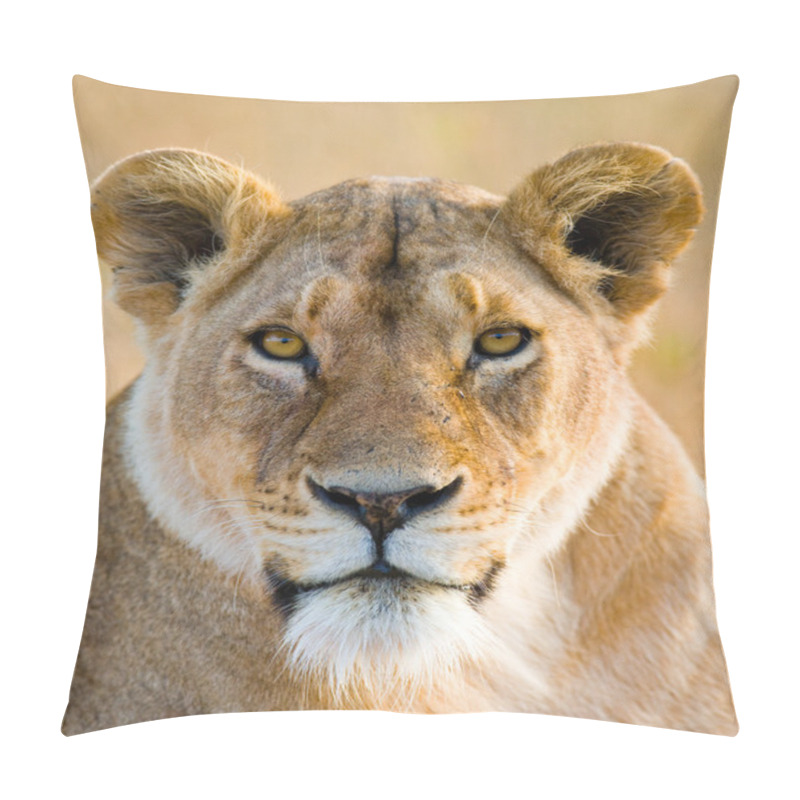 Personality  Close-up  Portrait Of Lioness Pillow Covers