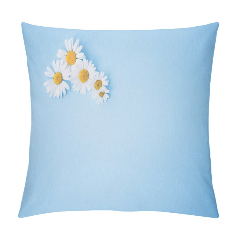 Personality  Daisies, Flowers, On Blue Wood - Background, With Text Space, Template, Design Pillow Covers