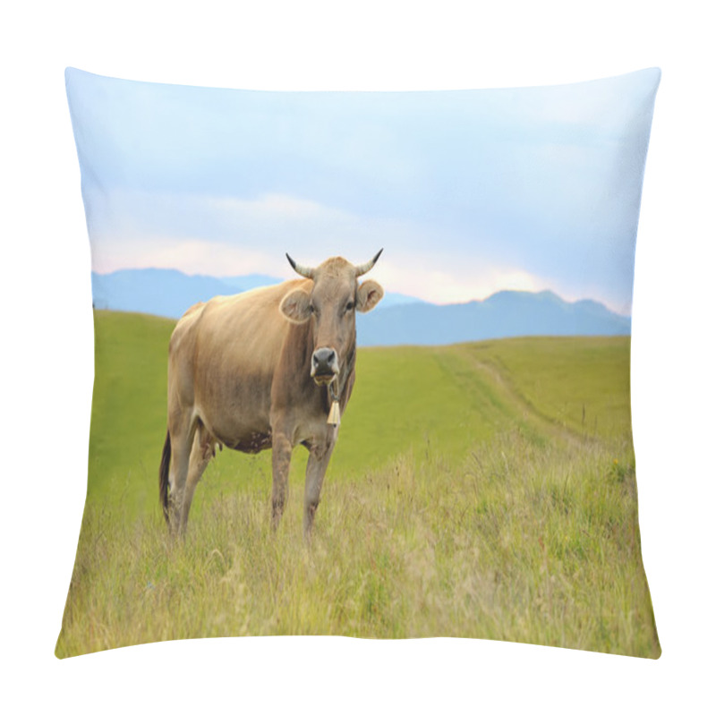 Personality  Cow On Mountain Pasture Pillow Covers