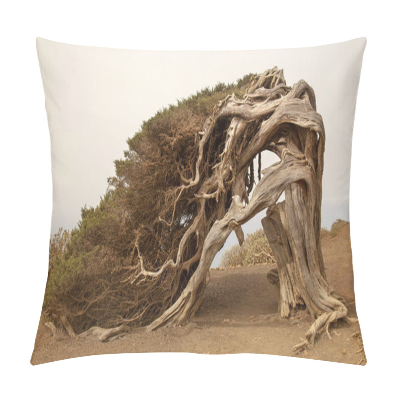 Personality  La Sabina, The Juniper Tree Pillow Covers