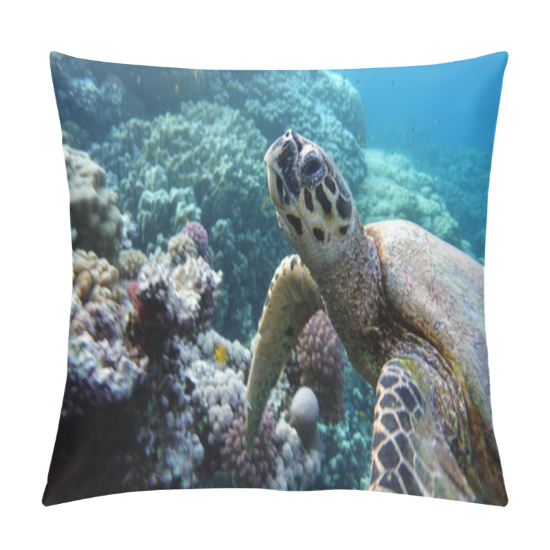 Personality  Hawksbill Sea Turtle (CR Species) Hawksbill Turtle - Eretmochelys Imbricata. Pillow Covers