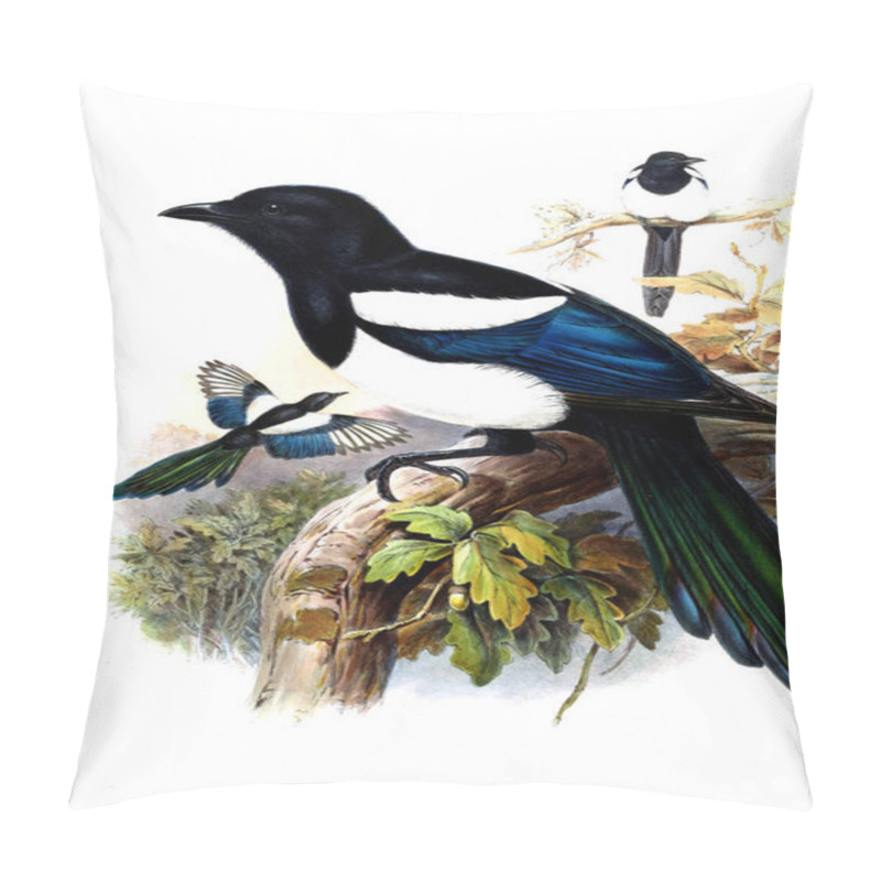 Personality  Illustration Of Animals Old Image Pillow Covers