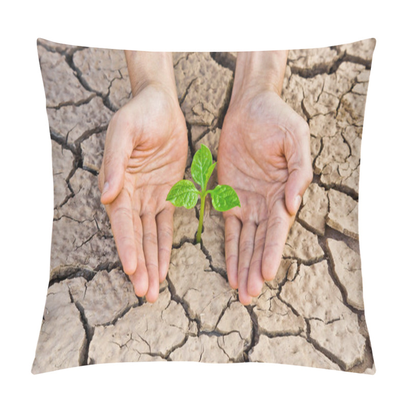 Personality  Hands Holding Tree Growing On Cracked Earth Pillow Covers