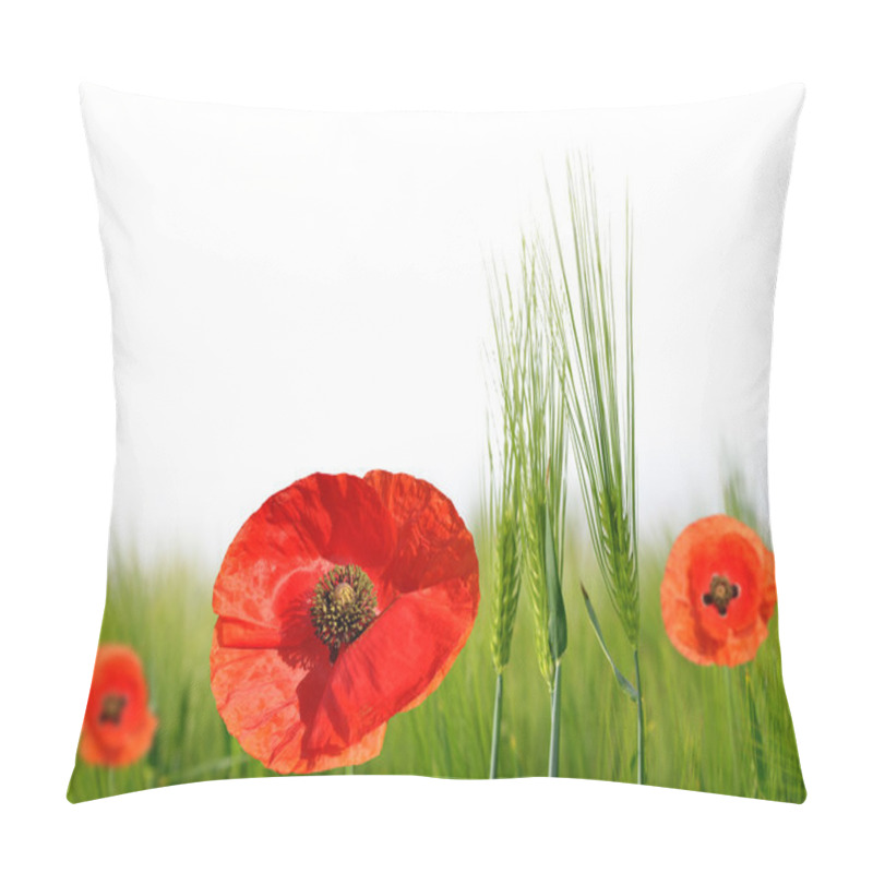 Personality  Red Poppies In Green Barley Field. Pillow Covers