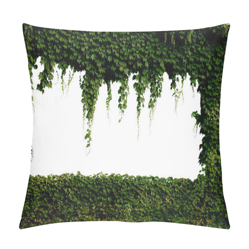 Personality  Ivy-covered Windows Pillow Covers