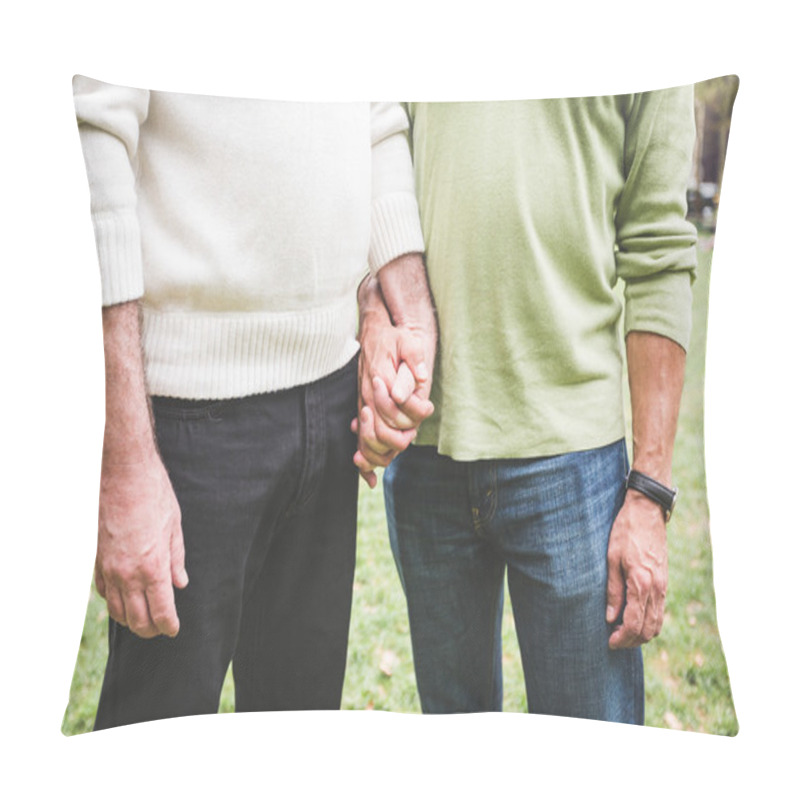 Personality  Gay Couple Holding Hands Pillow Covers