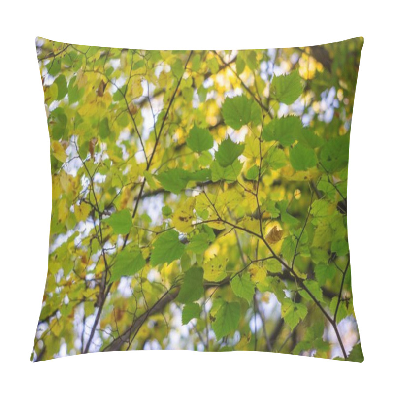 Personality  Close-up Of Dense, Vibrant Autumn Leaves On Tree Branches Image Emphasizes Fall Colors Yellow, Orange, And Red Leaves Packed Together To Create A Lush Canopy Background Blurred Due To Shallow Dept Pillow Covers