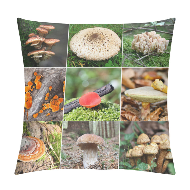 Personality  Mushroom Collage Pillow Covers