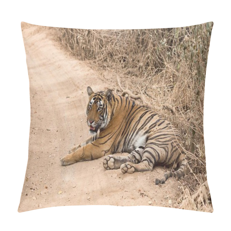 Personality  Bengal Tiger (Panthera Tigris Tigris), On Dirt Road, Ranthambore National Park, Rajasthan, India, Asia Pillow Covers