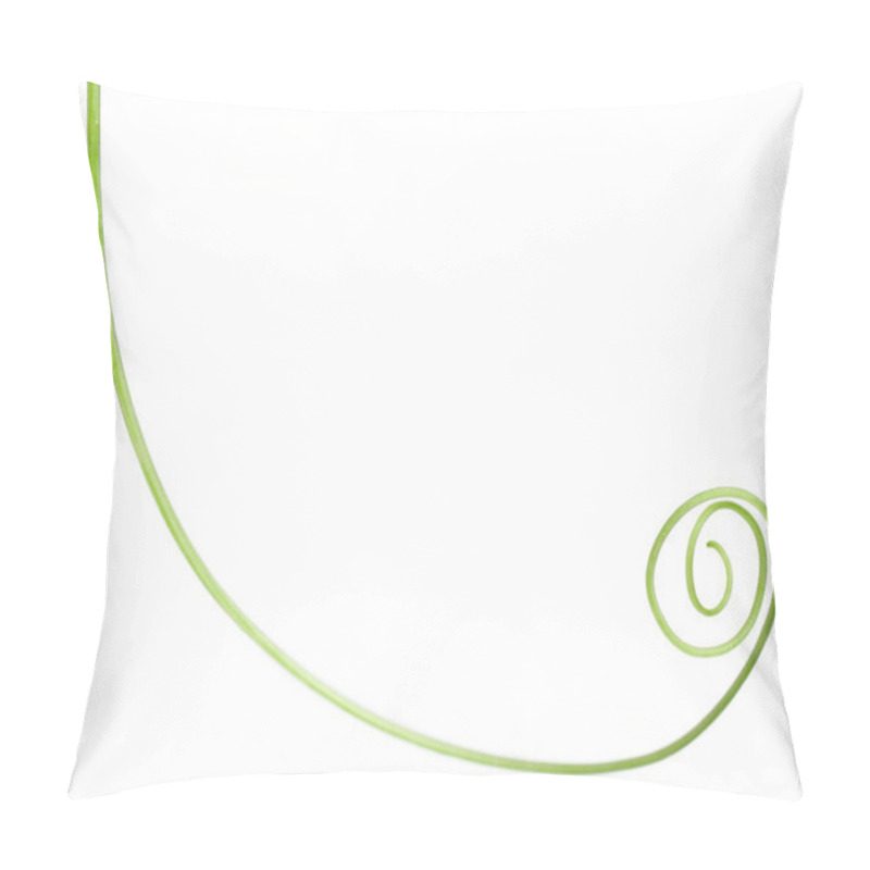 Personality  Larger Bindweed, Hedge Bindweed, Or Rutland Beauty, In Front Of White Background Pillow Covers