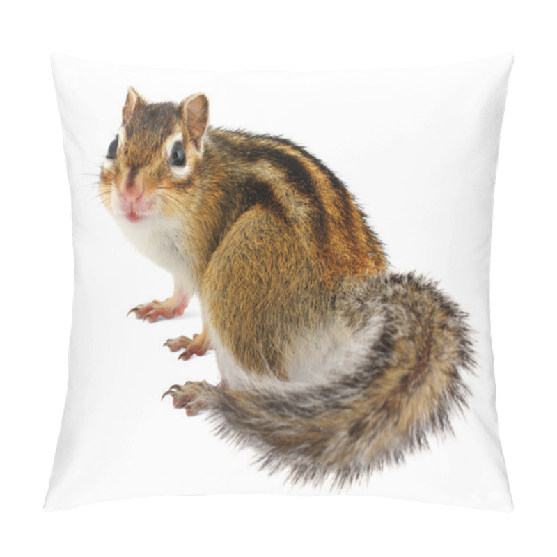 Personality  Chipmunk On White Pillow Covers