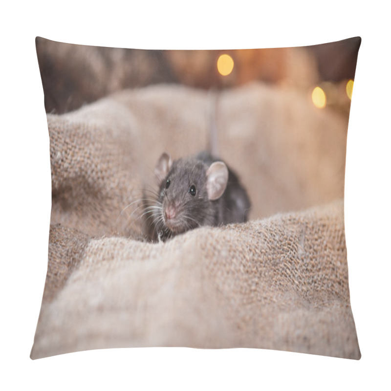 Personality  Brown  Domestic Rat Pillow Covers