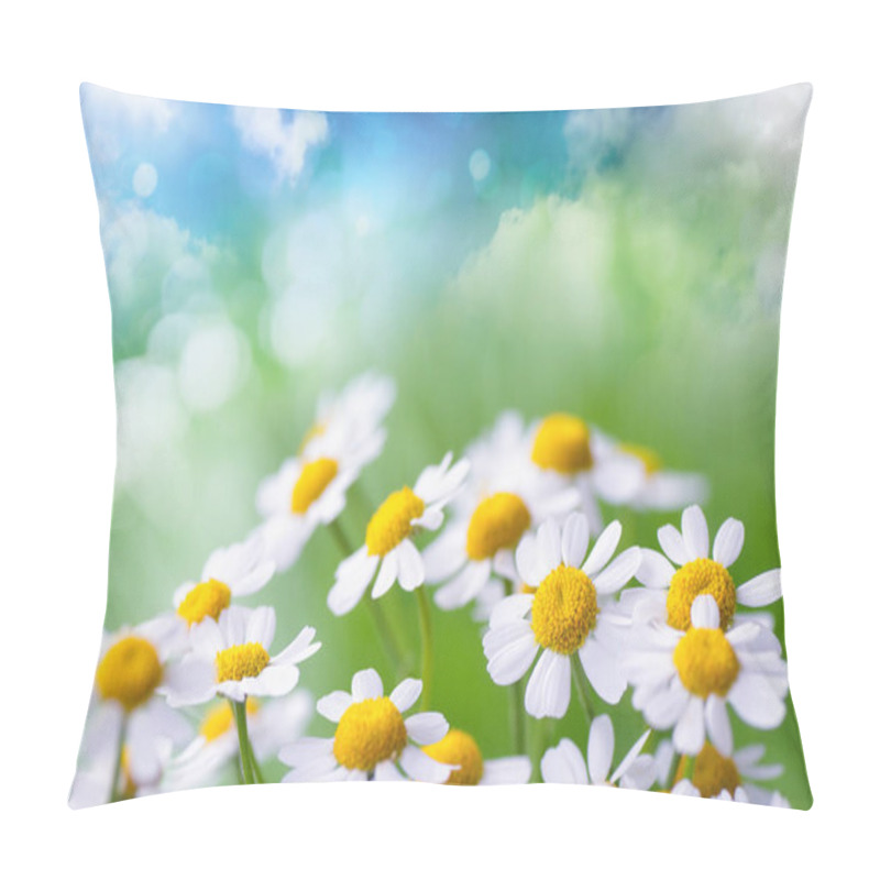 Personality  Camomile Flowers On Abstract Fantasy Background Of Green Meadow And Blue Sky Pillow Covers