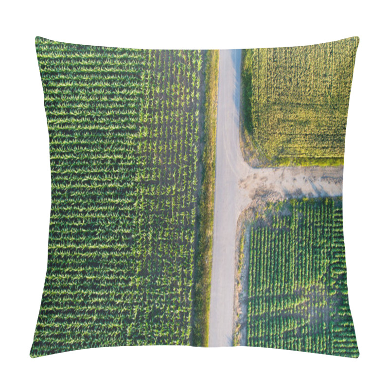 Personality  Top View Of Agricultural Parcels Pillow Covers