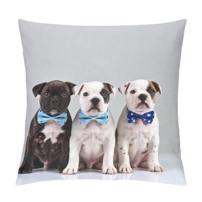 Personality  A High-resolution, Ultrarealistic Photo Depicting Three Adorable Puppies Against A Pure White Background. Each Puppy Is Adorned With Stylish Accessories, Including Blue Sunglasses And Blue Bow Ties With Intricate, Contrasting White Patterns. The Pillow Covers