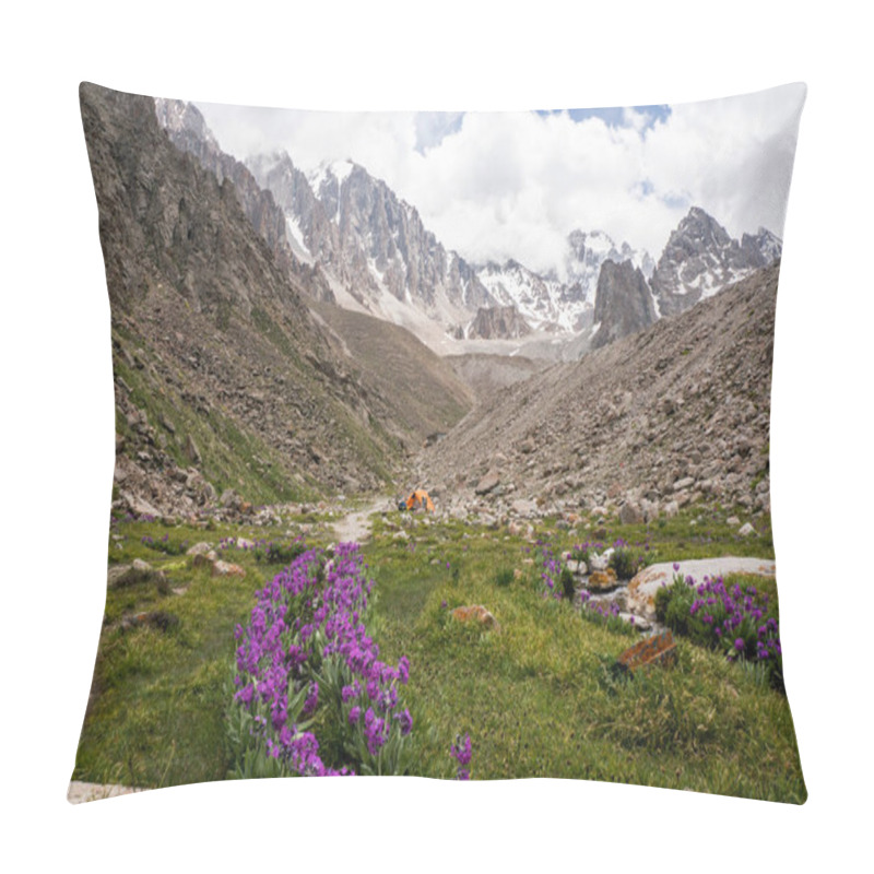 Personality  View Of Meadow With Stones And Flowers Against Footpath On Foot Of Rocks, Ala Archa National Park, Kyrgyzstan Pillow Covers