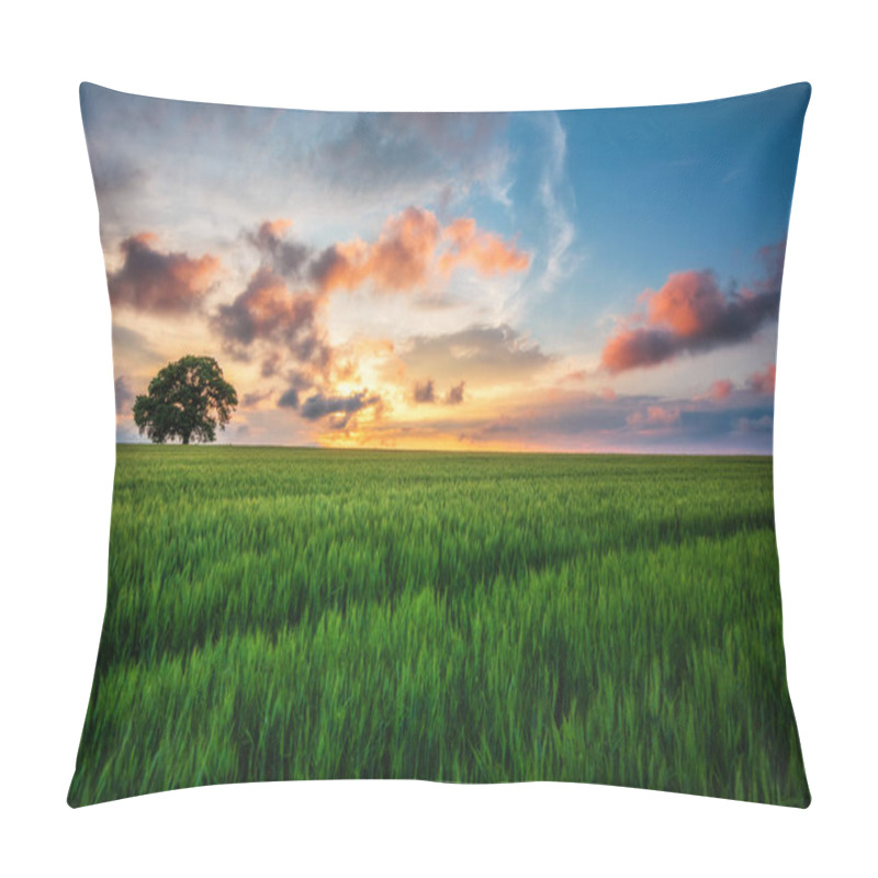 Personality  Tree In The Field And Sunset Clouds In The Sky Pillow Covers