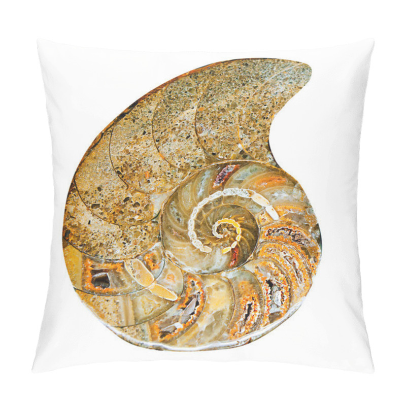 Personality  Remains Of Prehistoric Sea Shell Pillow Covers