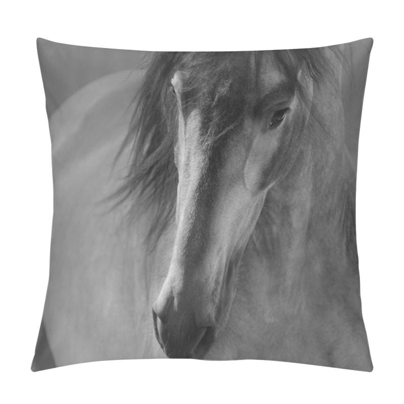 Personality  Black And White Portrait Of Andalusian Horse In Motion.  Pillow Covers