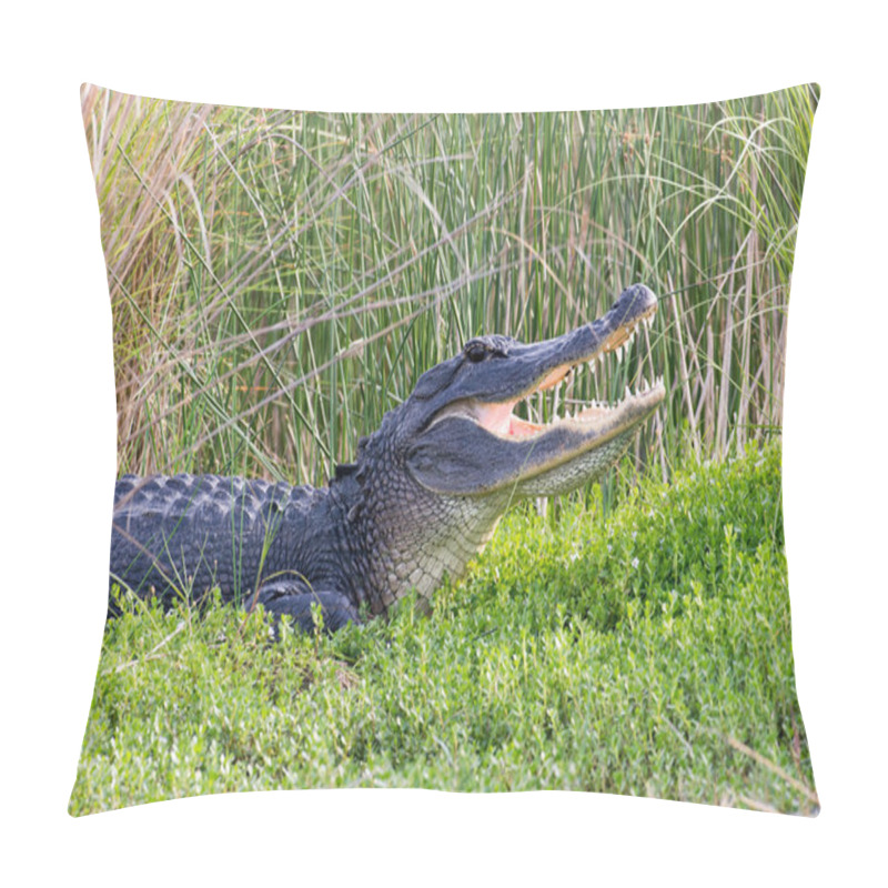 Personality  American Alligator Showing Its Teeth Pillow Covers