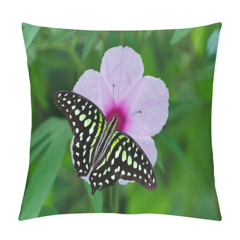 Personality  Morning Glory Flower Pillow Covers