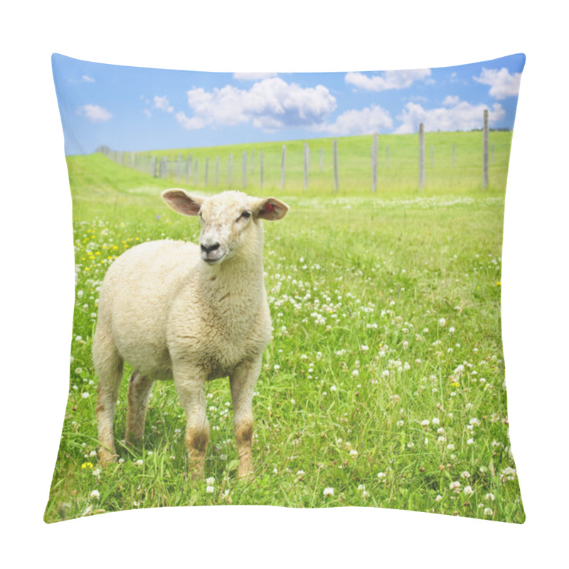 Personality  Cute Young Sheep Pillow Covers