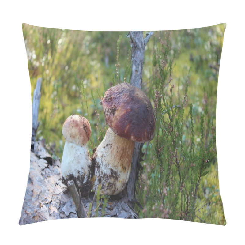 Personality  Two Cepes Mushrooms In The Forest Pillow Covers